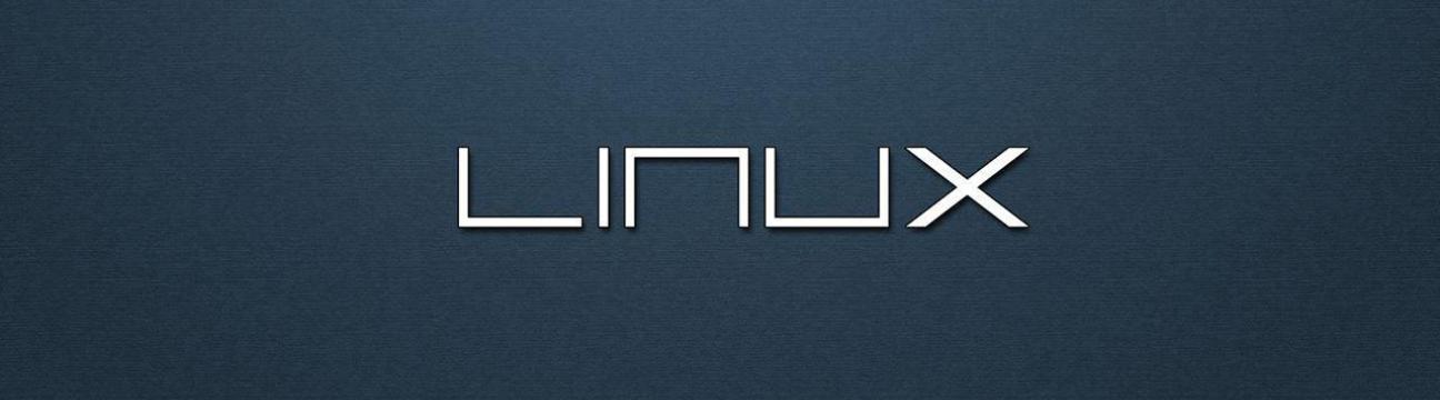 Linuks Bilgisayar