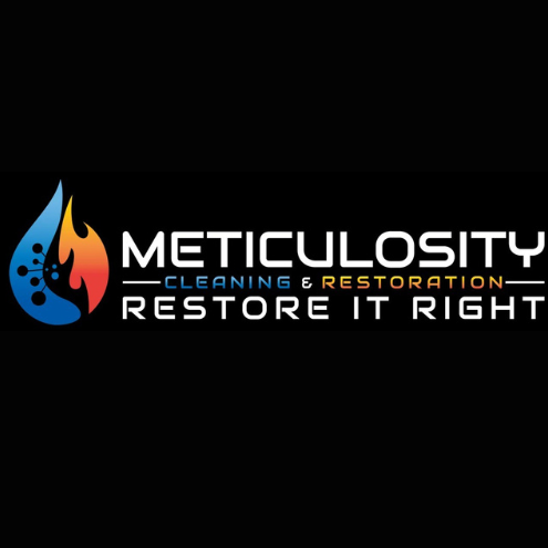 Meticulosity Cleaning