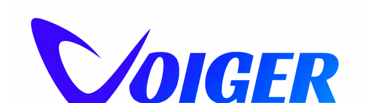 Voiger I.O