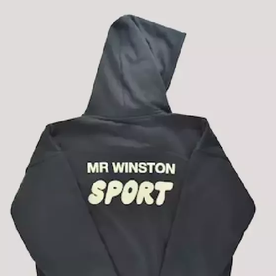 Mr  Winston