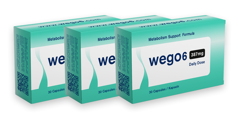 Wego6 Test