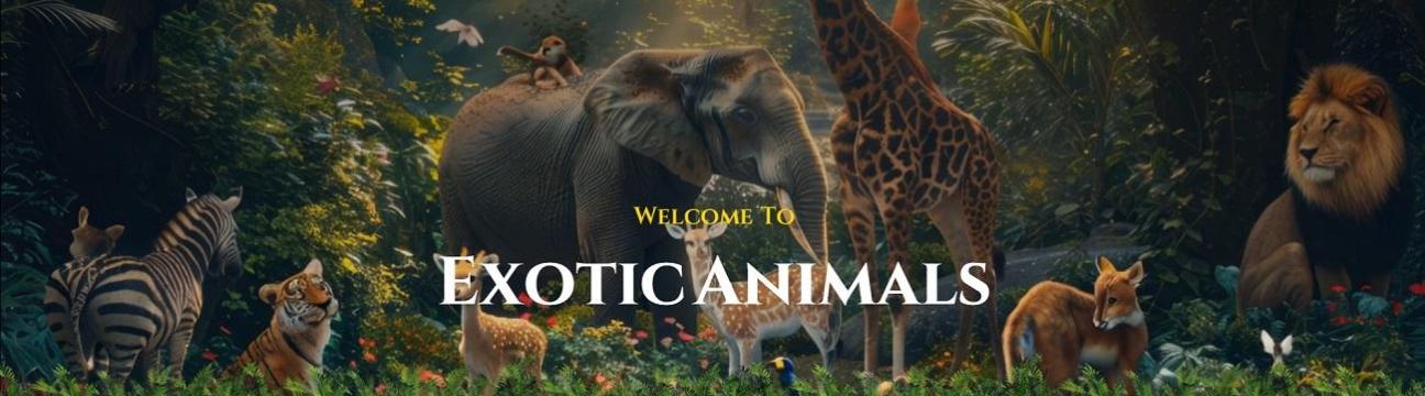 Exotic Miami 