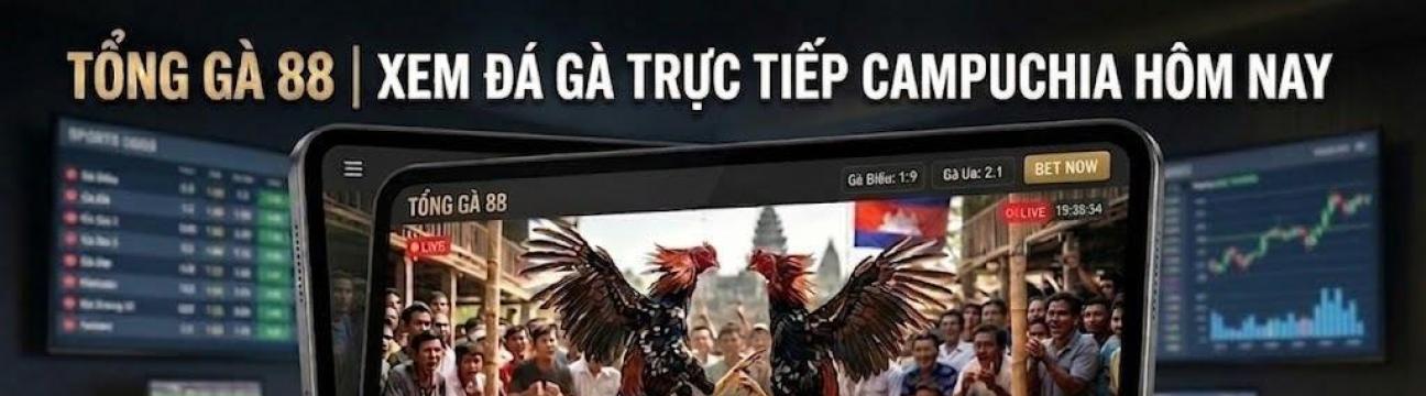 TỔNG G&Agrave; 88