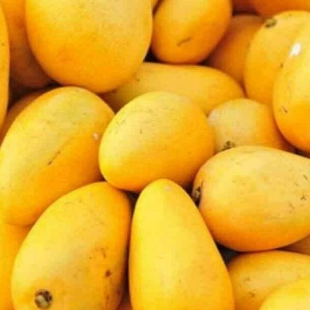 Fresh Price