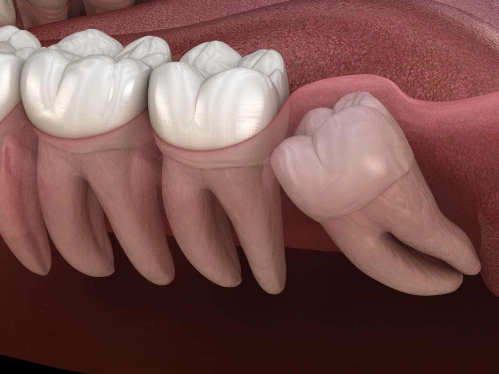 FigsDental Singapore