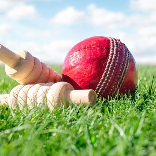 Shyam Cricketid