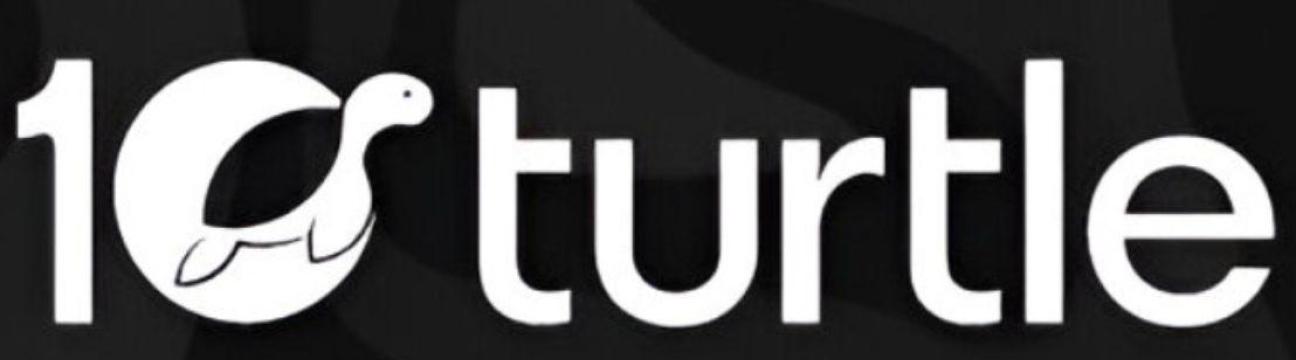 10turtle .com