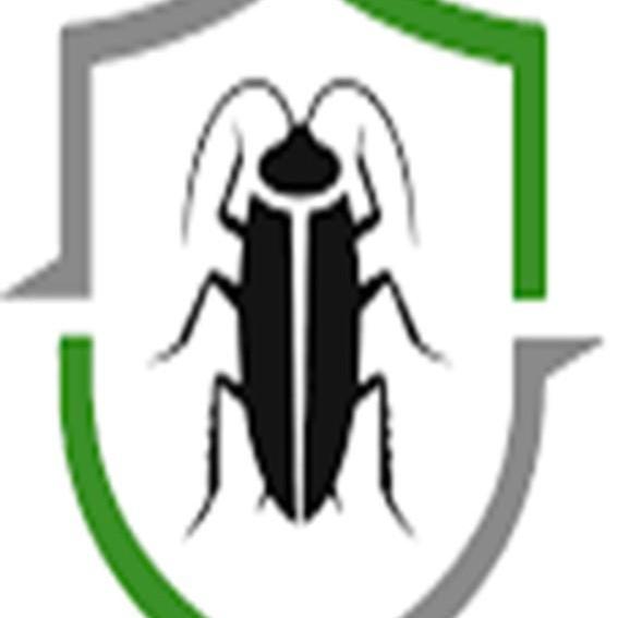 Pest   Control 