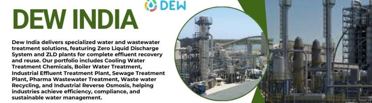 Dew India