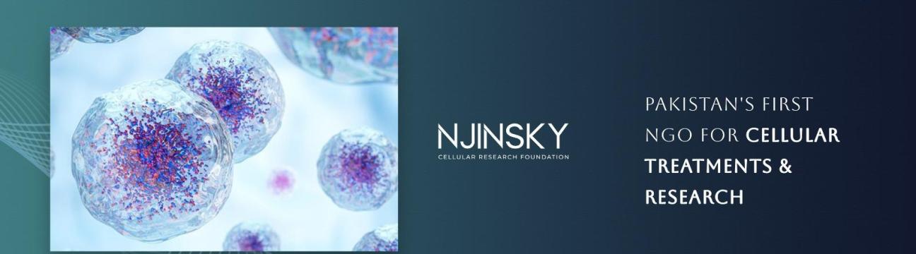 Njinsky Foundation